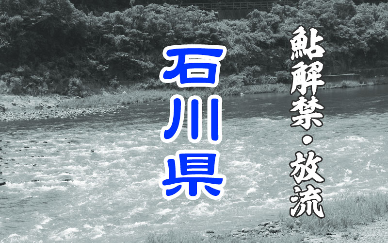 石川県 鮎・友釣り解禁