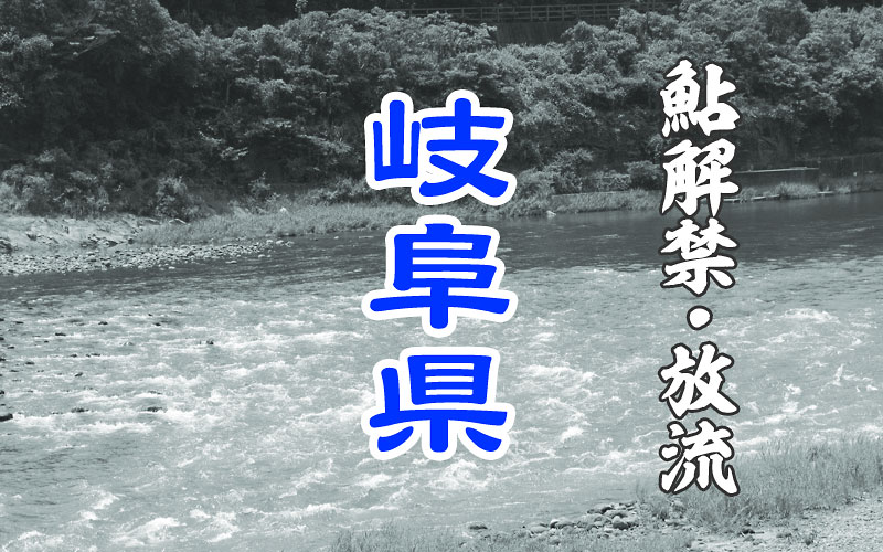 岐阜県 鮎解禁