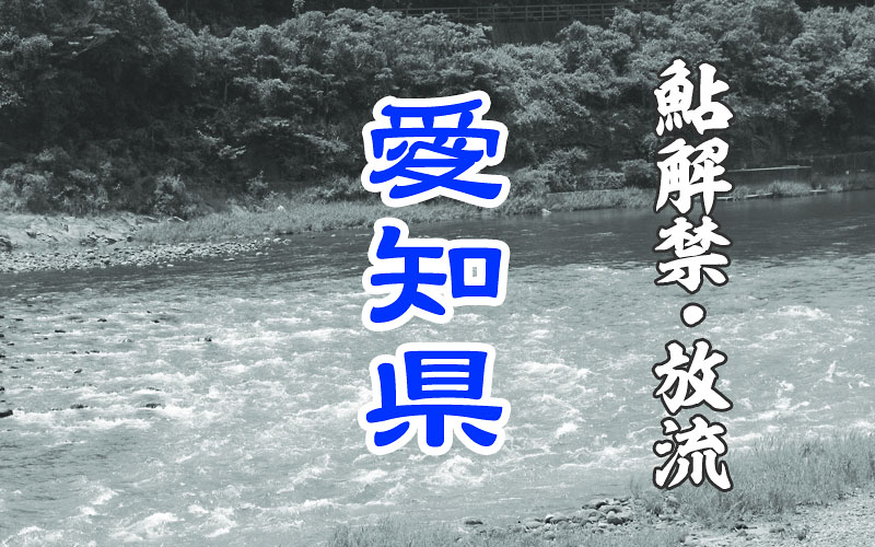 愛知県 鮎・友釣り解禁