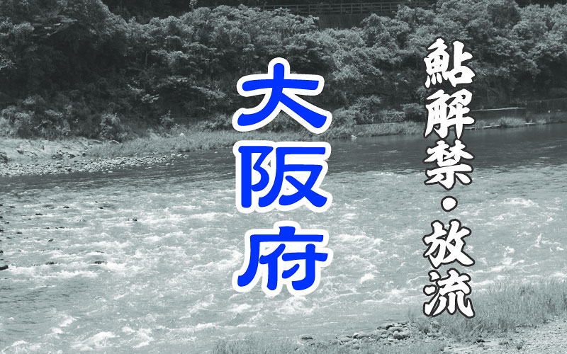 大阪府 鮎・友釣り解禁
