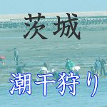茨城の潮干狩りスポット