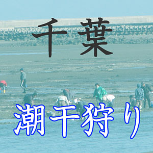 千葉県の潮干狩りスポット紹介