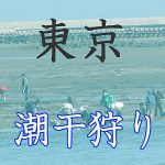 東京の潮干狩りスポット紹介