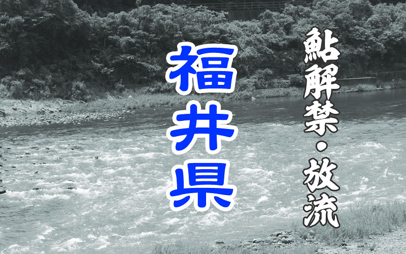 福井県 鮎・友釣り解禁